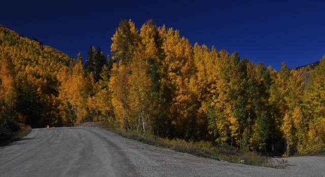 fall colors on highway 145